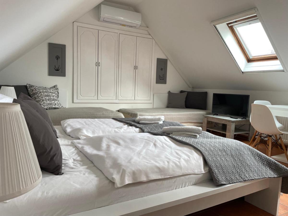 Fertőrákos Szentesi Panzio B&B 외부 사진