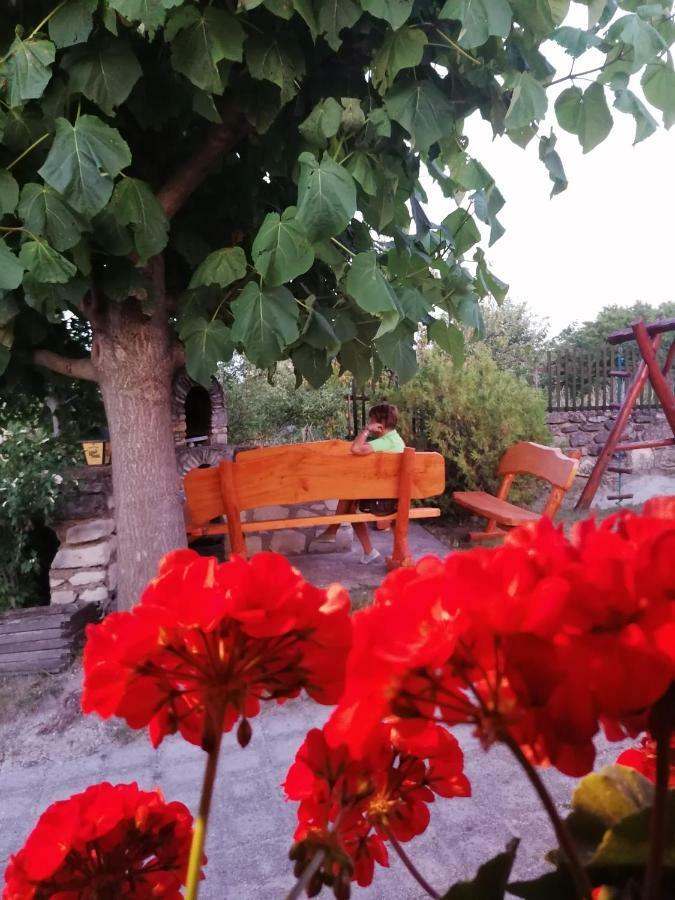 Fertőrákos Szentesi Panzio B&B 외부 사진