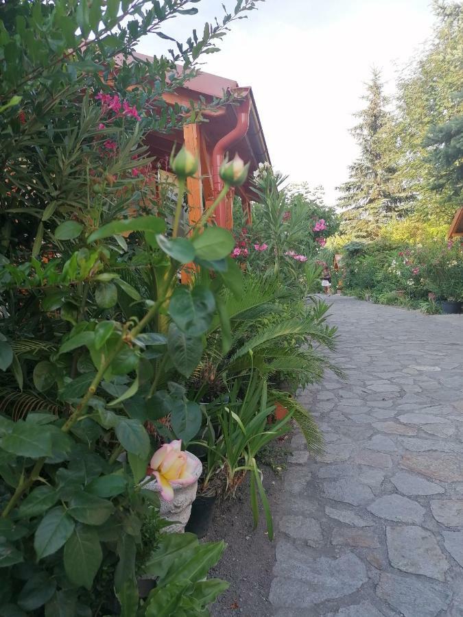 Fertőrákos Szentesi Panzio B&B 외부 사진