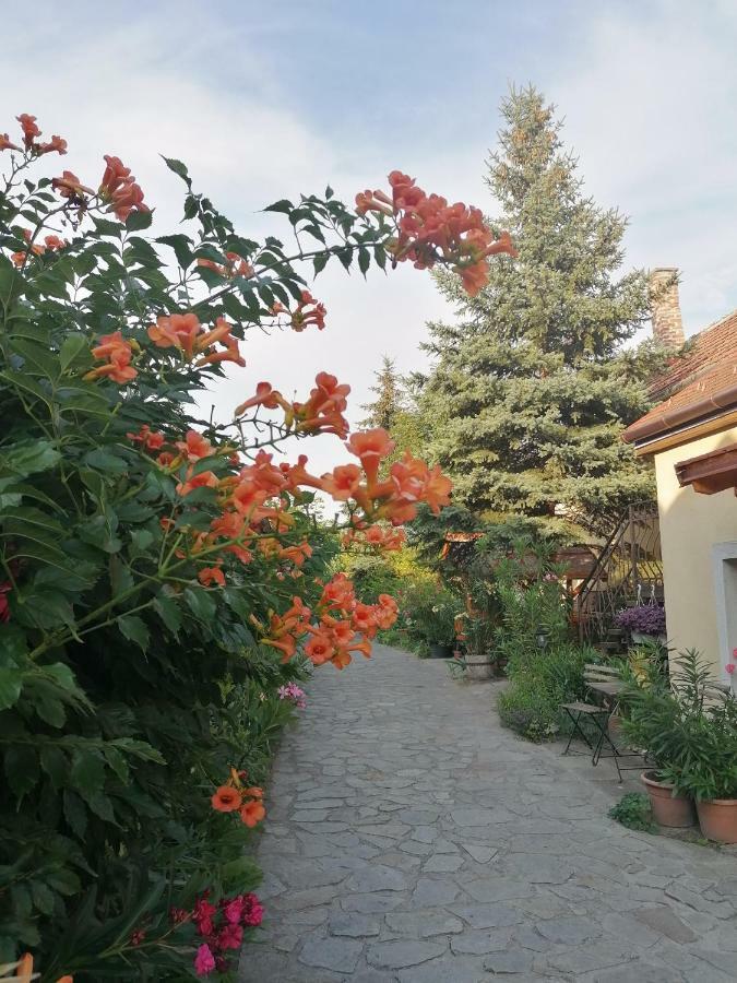 Fertőrákos Szentesi Panzio B&B 외부 사진