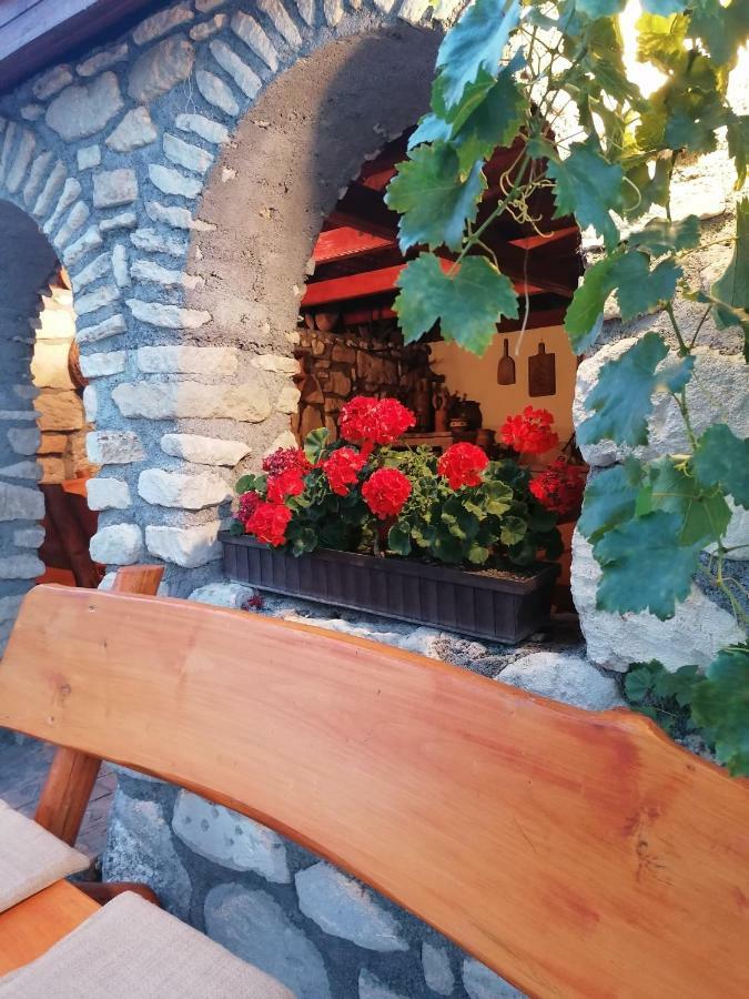 Fertőrákos Szentesi Panzio B&B 외부 사진