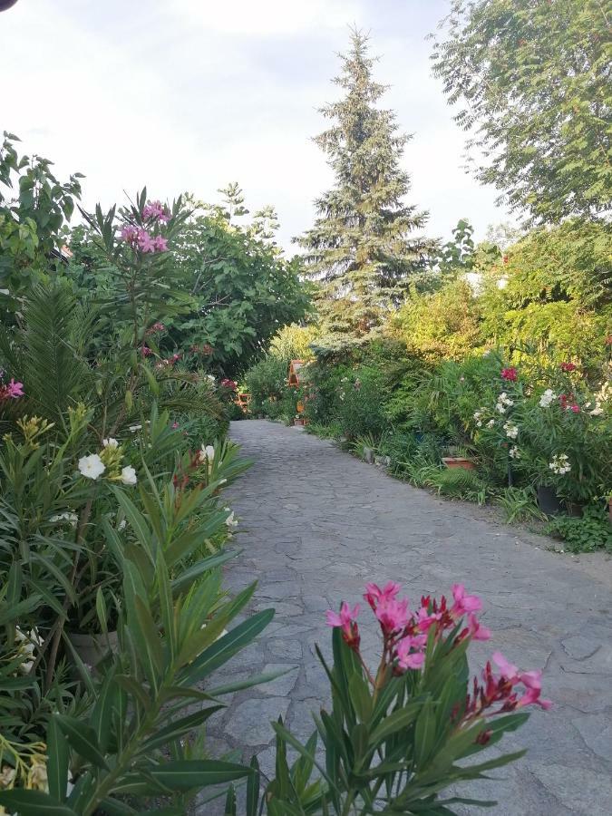 Fertőrákos Szentesi Panzio B&B 외부 사진