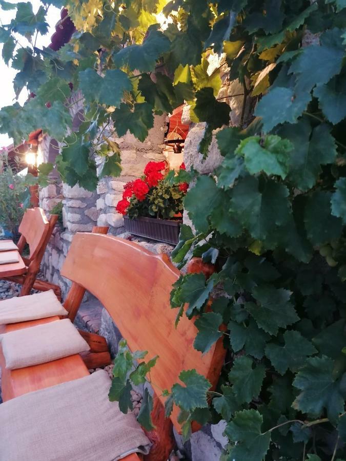 Fertőrákos Szentesi Panzio B&B 외부 사진