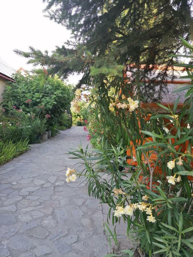 Fertőrákos Szentesi Panzio B&B 외부 사진